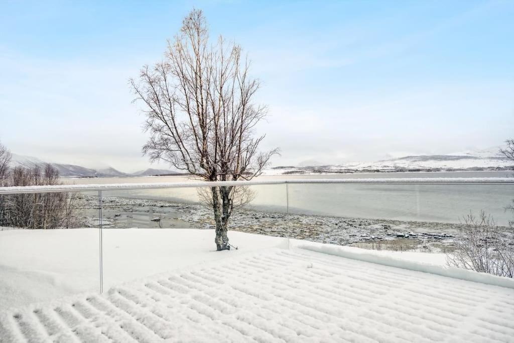 Hus Med Egen Strandlinje Tromsø Eksteriør bilde